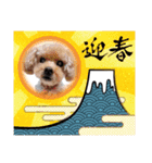 犬 スタンプ・お正月（個別スタンプ：29）