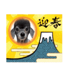 犬 スタンプ・お正月（個別スタンプ：30）