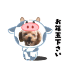犬 スタンプ・お正月（個別スタンプ：31）