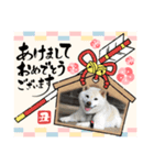 麻呂のスタンプ2021日常編（個別スタンプ：6）