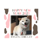 麻呂のスタンプ2021日常編（個別スタンプ：7）
