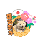 麻呂のスタンプ2021日常編（個別スタンプ：8）