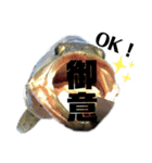 バス釣り好きスタンプ！part2‼︎（個別スタンプ：1）