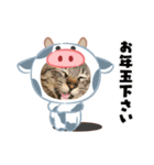 猫のキャベツ君（個別スタンプ：2）