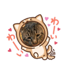 猫のキャベツ君（個別スタンプ：5）