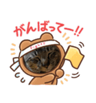 猫のキャベツ君（個別スタンプ：6）