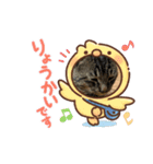 猫のキャベツ君（個別スタンプ：7）