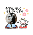 年長山羊（個別スタンプ：4）