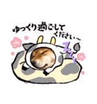 柴犬小麦スタンプいっぱい‼️（個別スタンプ：21）