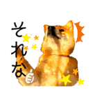 柴犬小麦スタンプいっぱい‼️（個別スタンプ：37）