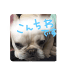 ロンとよしおの日常会話。（個別スタンプ：2）