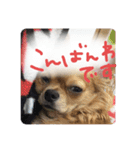 ロンとよしおの日常会話。（個別スタンプ：3）