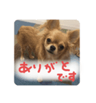 ロンとよしおの日常会話。（個別スタンプ：6）