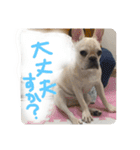 ロンとよしおの日常会話。（個別スタンプ：9）