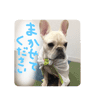ロンとよしおの日常会話。（個別スタンプ：10）