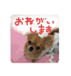 ロンとよしおの日常会話。（個別スタンプ：11）