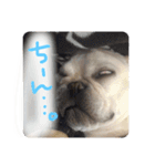 ロンとよしおの日常会話。（個別スタンプ：13）