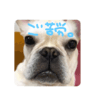ロンとよしおの日常会話。（個別スタンプ：14）