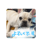 ロンとよしおの日常会話。（個別スタンプ：16）