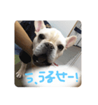 ロンとよしおの日常会話。（個別スタンプ：18）