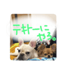 ロンとよしおの日常会話。（個別スタンプ：20）