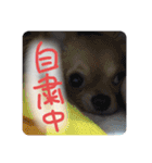 ロンとよしおの日常会話。（個別スタンプ：21）