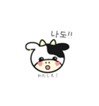 うしさんのスタンプ(日本語×韓国語)（個別スタンプ：12）