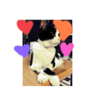 ちびみや12（個別スタンプ：16）