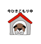 柴犬の兄弟（個別スタンプ：1）