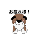 柴犬の兄弟（個別スタンプ：5）