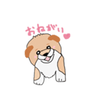 柴犬の兄弟（個別スタンプ：6）