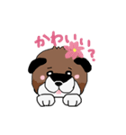 柴犬の兄弟（個別スタンプ：7）