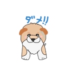 柴犬の兄弟（個別スタンプ：8）