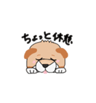 柴犬の兄弟（個別スタンプ：10）