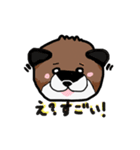 柴犬の兄弟（個別スタンプ：11）