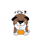 柴犬の兄弟（個別スタンプ：13）
