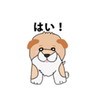 柴犬の兄弟（個別スタンプ：14）