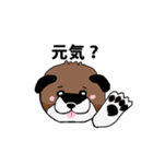 柴犬の兄弟（個別スタンプ：16）