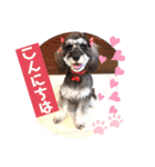 ななちゃんすたんぷ①（個別スタンプ：4）