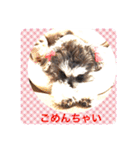 ななちゃんすたんぷ①（個別スタンプ：10）