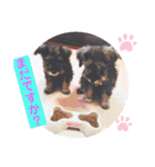 ななちゃんすたんぷ①（個別スタンプ：20）