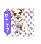 ななちゃんすたんぷ①（個別スタンプ：24）