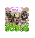 ななちゃんすたんぷ①（個別スタンプ：25）