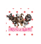 ななちゃんすたんぷ①（個別スタンプ：27）