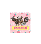 ななちゃんすたんぷ①（個別スタンプ：30）