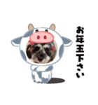 ななちゃんすたんぷ①（個別スタンプ：31）