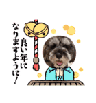 ななちゃんすたんぷ①（個別スタンプ：33）