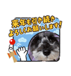 ななちゃんすたんぷ①（個別スタンプ：34）