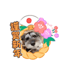 ななちゃんすたんぷ①（個別スタンプ：36）