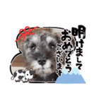 ななちゃんすたんぷ①（個別スタンプ：37）